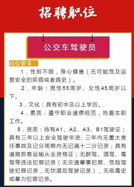 邯郸司机招聘最新动态，职业发展的机遇与挑战解析