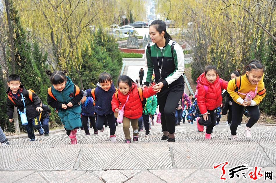 天水幼师最新招聘动态全解析，招聘信息、要求及趋势探讨